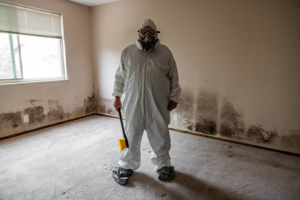 Crawl Space Mold Removal in Jacksboro, TX